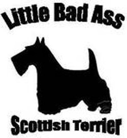 badassscottie Miss Mayzie's Alter Ego